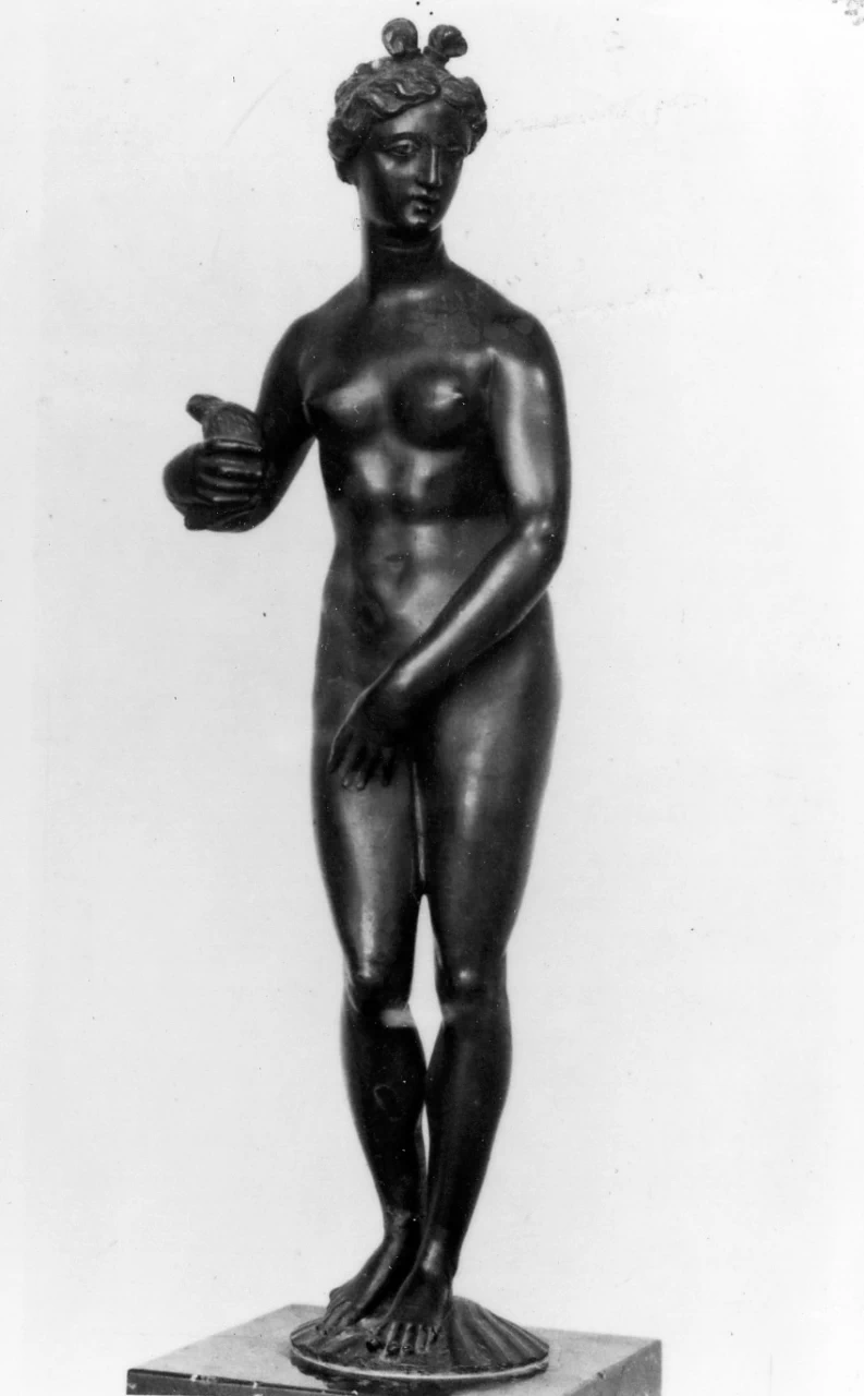Venere - Museo Nazionale del Bargello , Firenze